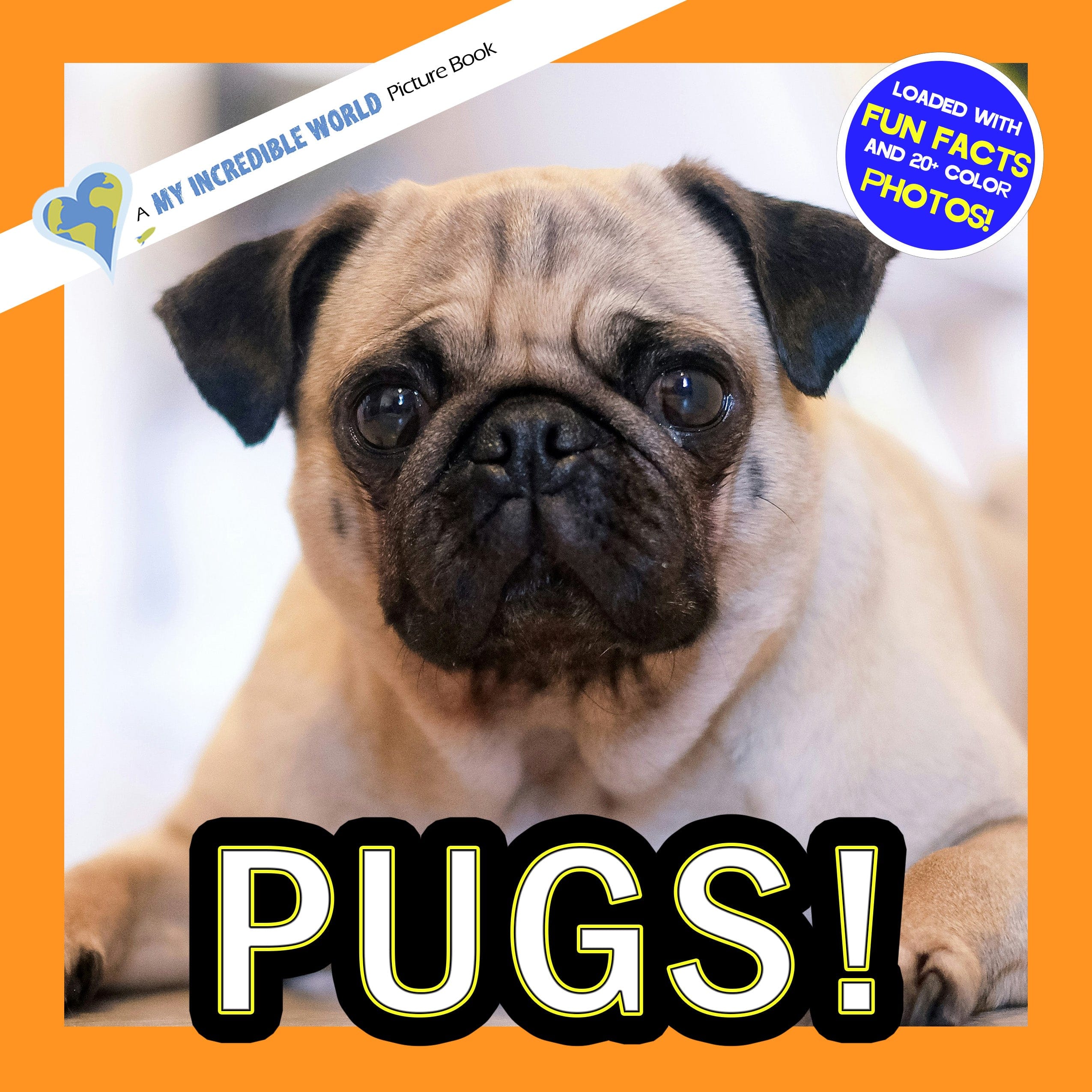 Pugs! A My Incredible World Picture Book for Children